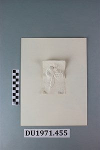 Image description is not available for DU1971.455